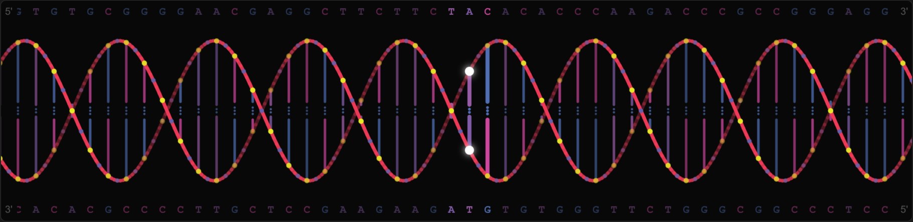 Icosmo Helix: the double helix with the codon being played